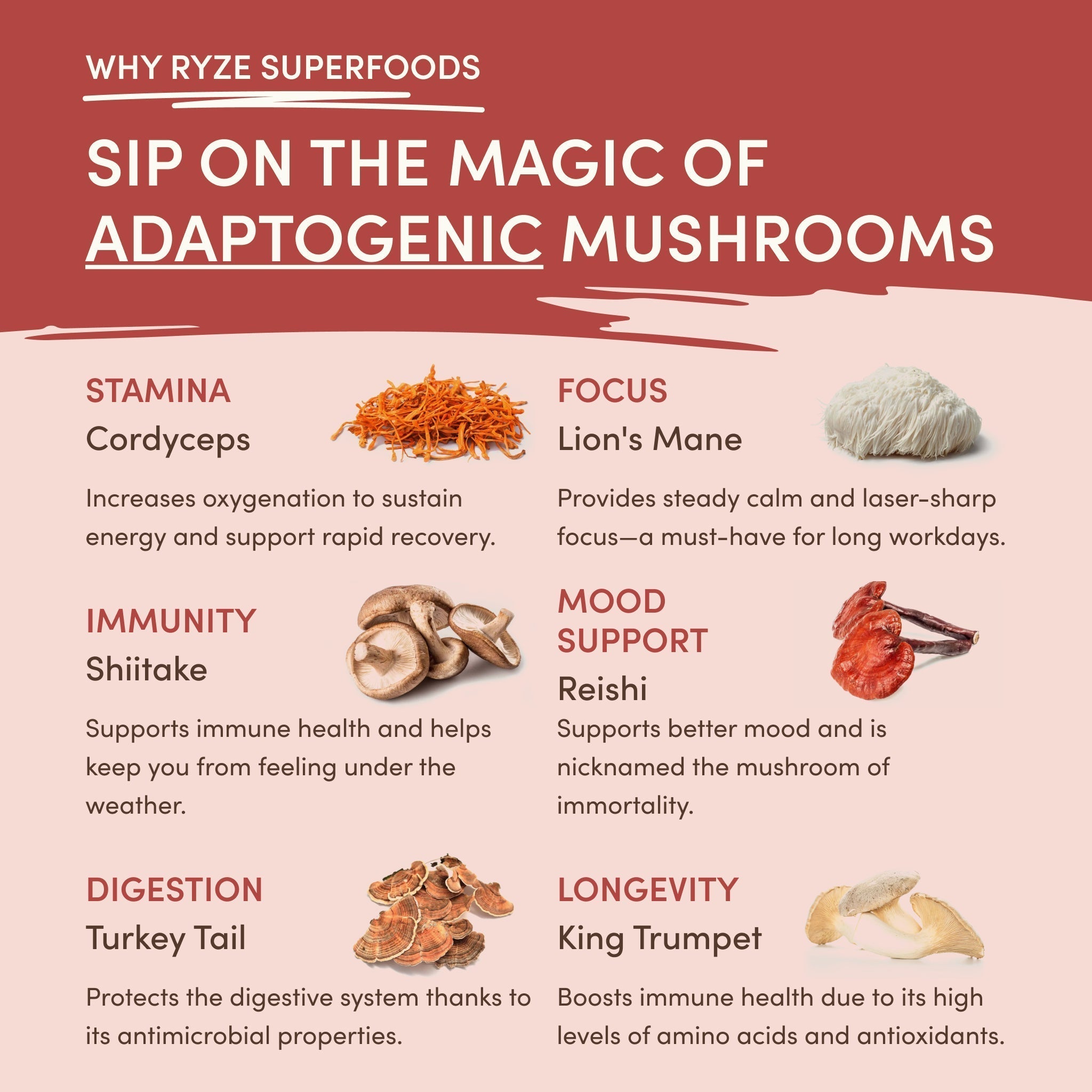 Mushroom Chai (20 Servings) - Functional Coffee