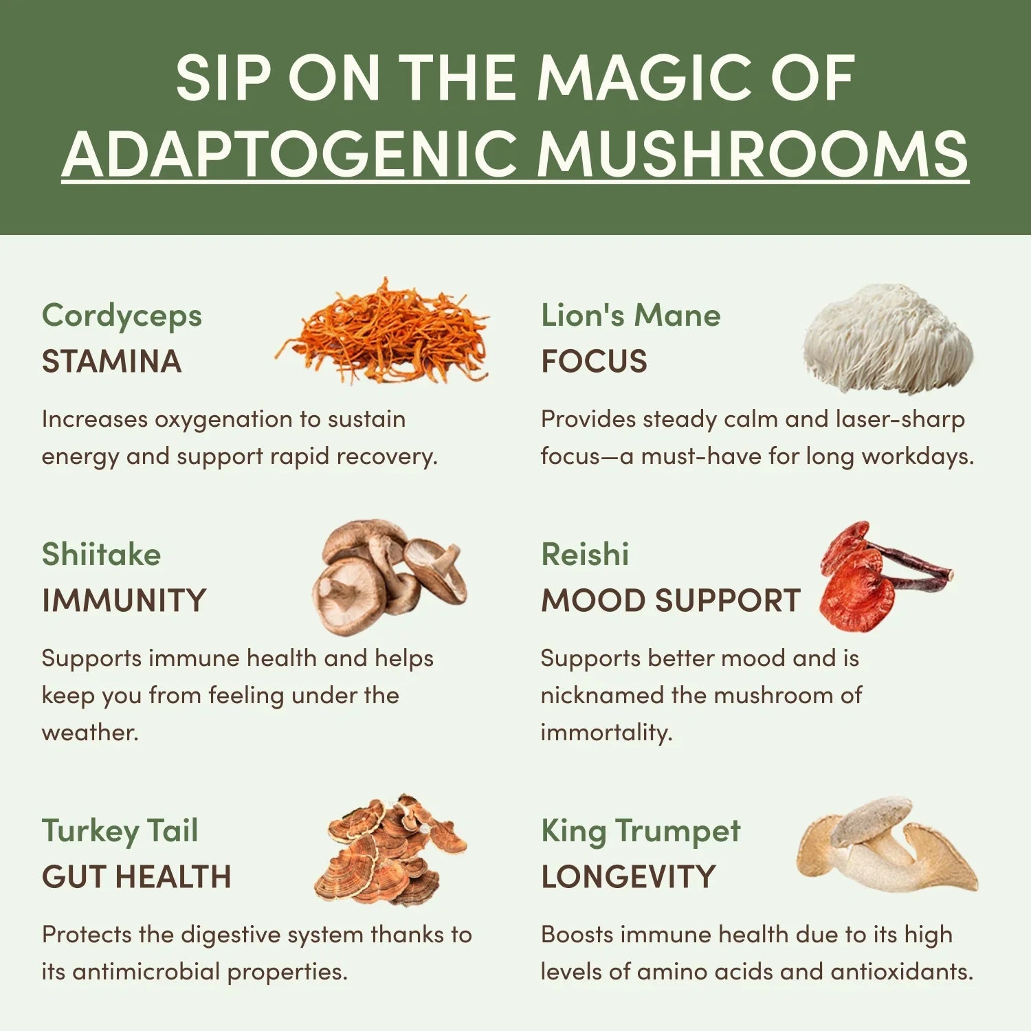 Mushroom Matcha (30 Servings) - Gentle Energy