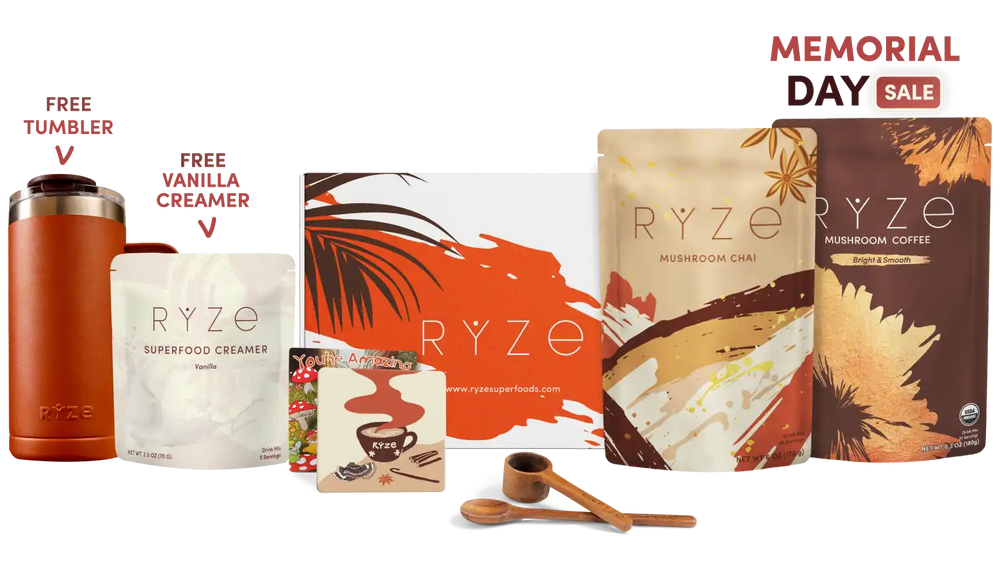 Boosted Chai Latte Bundle (Chai + Coffee) - Everyday Support