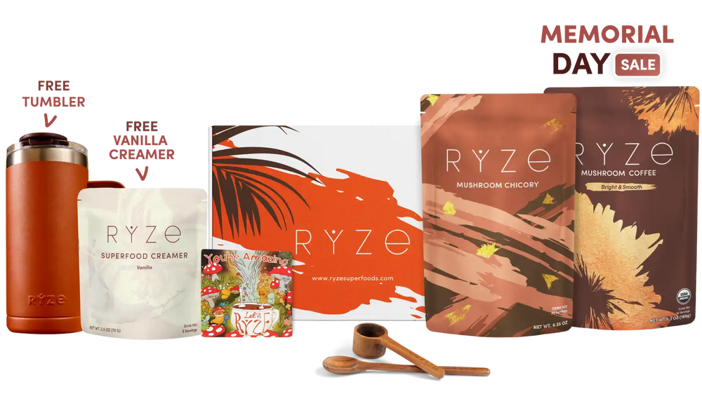 Lasting Energy Bundle (Chicory + Coffee) - Superfood Coffee