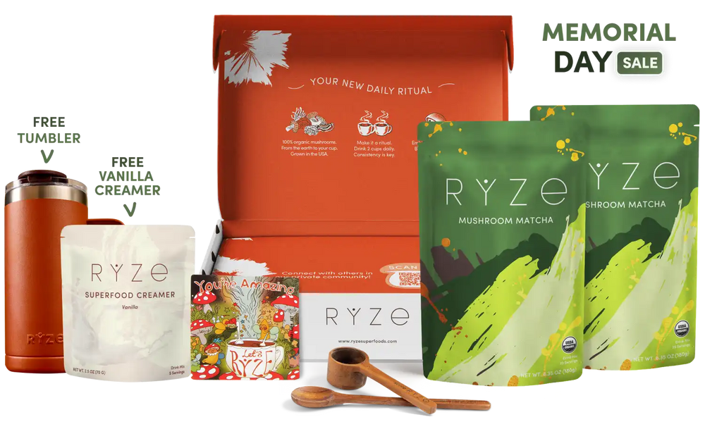 Mushroom Matcha Starter Kit (60 Servings) - Energy Support