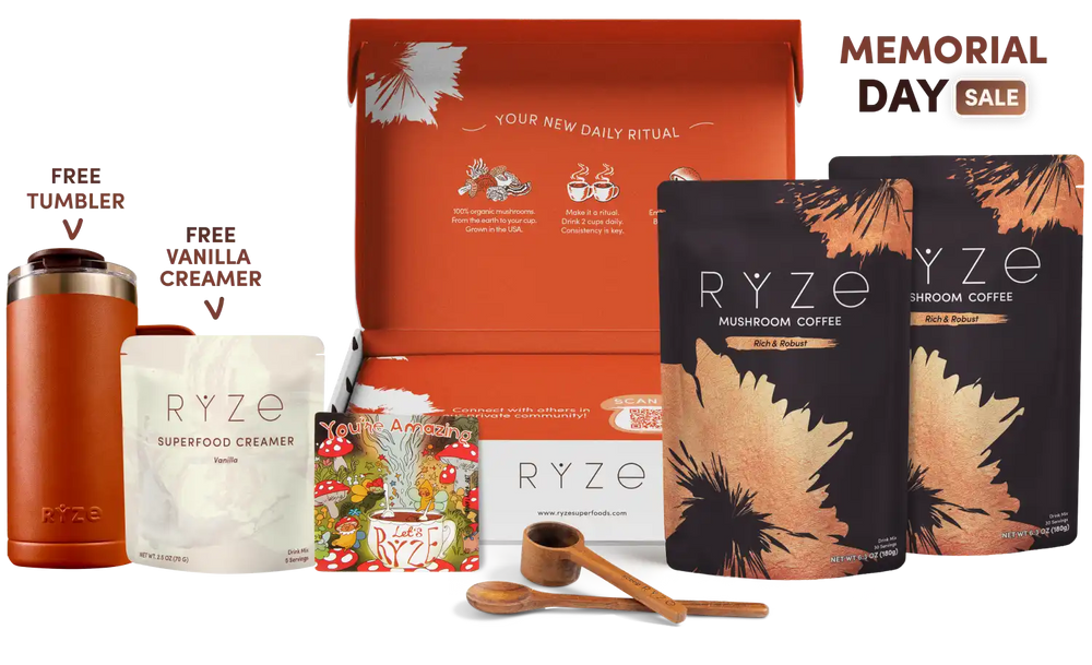 Mushroom Coffee Dark Roast Starter Kit (60 servings) - Workday Focus